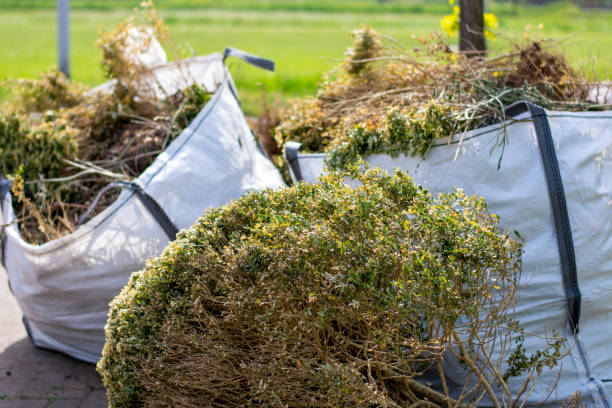 Trash Removal Near Me in Fruit Hill, OH
